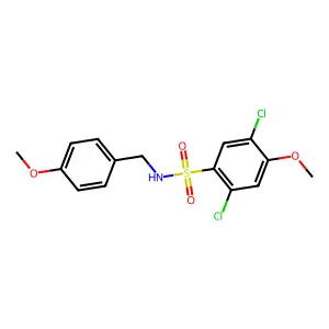 2,5-dichloro-4-methoxy-N-[(4-methoxyphenyl)methyl]benzenesulfonamide structure