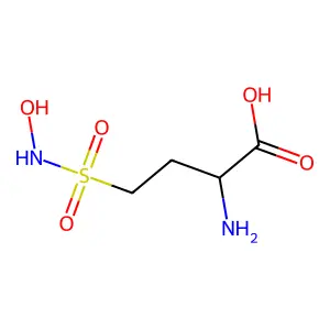 2-Amino-4-(hydroxysulfamoyl)butanoic acid structure
