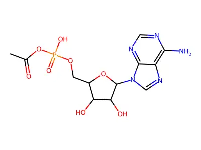 Acetyl adenylate structure