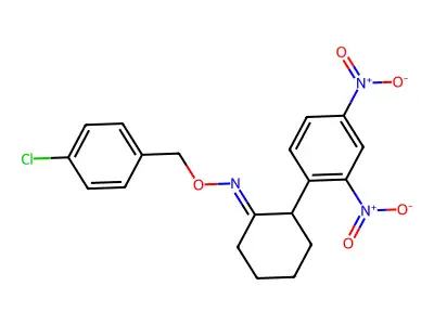 N-[(4-chlorophenyl)methoxy]-2-(2,4-dinitrophenyl)cyclohexan-1-imine structure