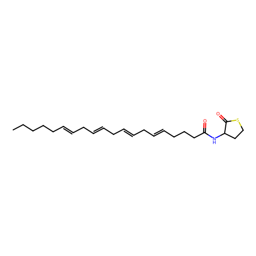 2-Thiophenone, 3-(5,8,11,14-eicosatetraenamido)tetrahydro-(all Z) structure