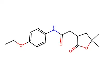 2-(5,5-dimethyl-2-oxooxolan-3-yl)-N-(4-ethoxyphenyl)acetamide structure
