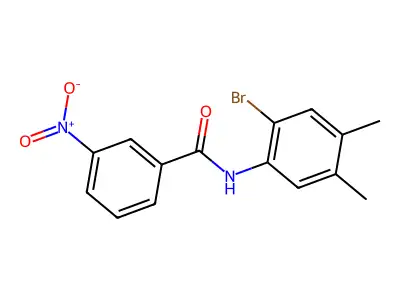 N-(2-bromo-4,5-dimethylphenyl)-3-nitrobenzamide structure