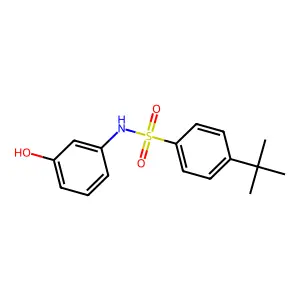 4-tert-butyl-N-(3-hydroxyphenyl)benzenesulfonamide structure