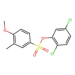 2,5-Dichlorophenyl 4-methoxy-3-methylbenzenesulfonate structure