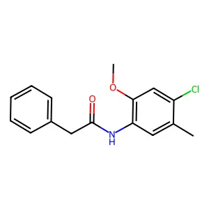 N-(4-chloro-2-methoxy-5-methylphenyl)-2-phenylacetamide structure