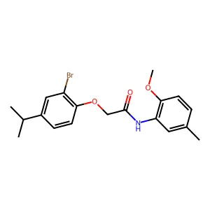 2-(2-bromo-4-propan-2-ylphenoxy)-N-(2-methoxy-5-methylphenyl)acetamide structure