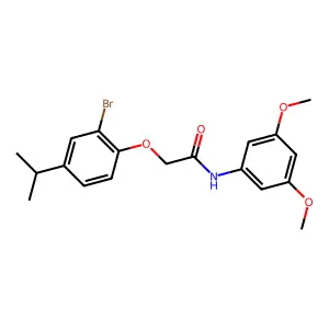 2-(2-bromo-4-propan-2-ylphenoxy)-N-(3,5-dimethoxyphenyl)acetamide structure