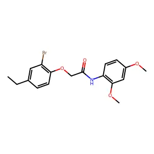 2-(2-bromo-4-ethylphenoxy)-N-(2,4-dimethoxyphenyl)acetamide structure