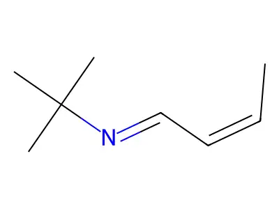 丁-2-亚基叔丁基胺 structure