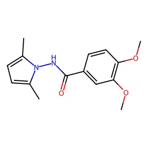 N-(2,5-dimethyl-1H-pyrrol-1-yl)-3,4-dimethoxybenzamide structure