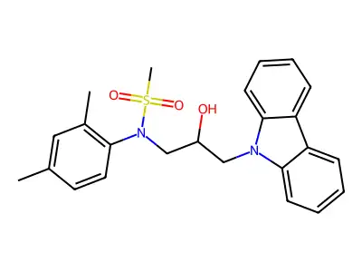 CBKinase1_005404 structure