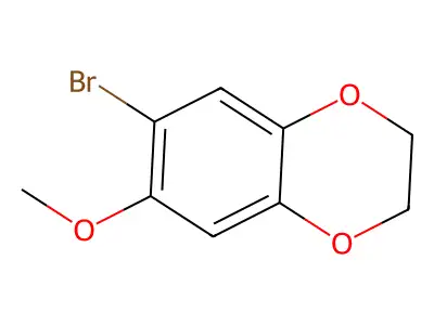 6-Bromo-7-methoxy-2,3-dihydro-1,4-benzodioxine structure