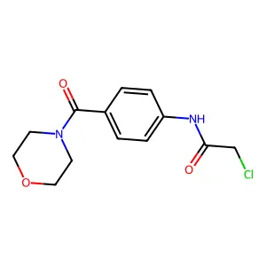 2-chloro-N-[4-(morpholin-4-ylcarbonyl)phenyl]acetamide structure