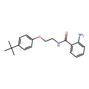 2-amino-N-[2-(4-tert-butylphenoxy)ethyl]benzamide structure