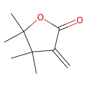 4,4,5,5-Tetramethyl-3-methylideneoxolan-2-one structure