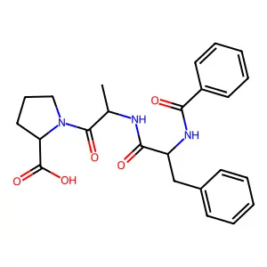 Benzoylphenylalanyl-alanyl-proline structure