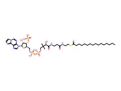 Ethyl 3-cyclohexyl-3-hydroxy-2-methylpropanoate structure