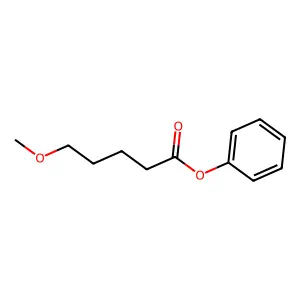 Phenyl 5-methoxypentanoate structure