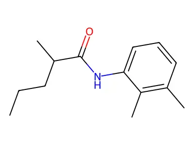N-(2,3-dimethylphenyl)-2-methylpentanamide structure