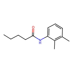 N-(2,3-dimethylphenyl)pentanamide structure