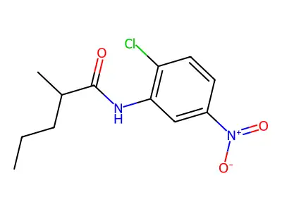N-(2-chloro-5-nitrophenyl)-2-methylpentanamide structure