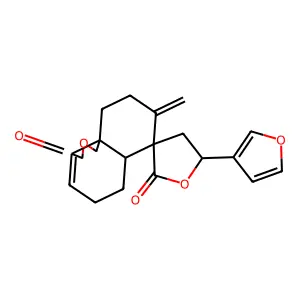 Plaunolide structure