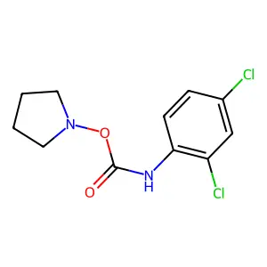 Carbamic acid, 2,4-dichlorophenyl-, pyrrolidinyl ester structure