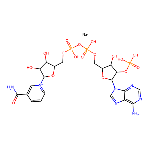 NADP structure