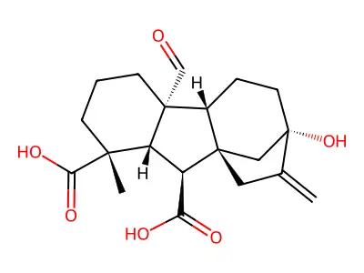 Gibberellin A19 structure