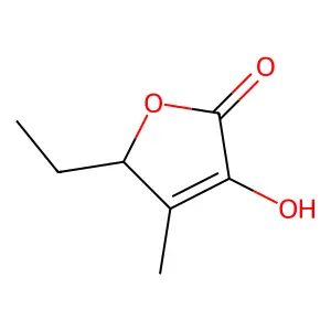 5-Ethyl-3-hydroxy-4-methyl-2(5H)-furanone structure