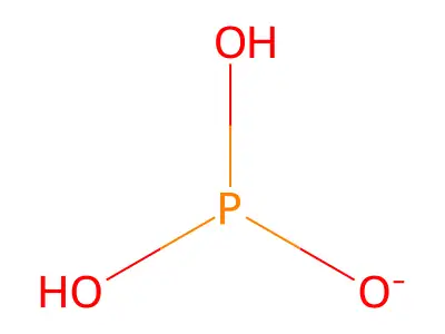 Dihydrogen phosphite structure