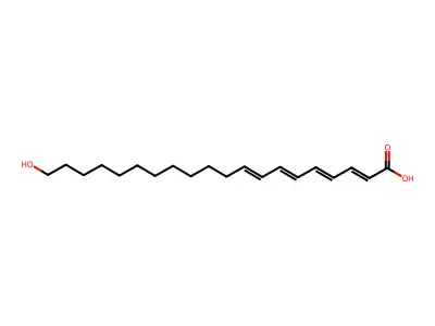 20-Hydroxyeicosatetraenic acid structure