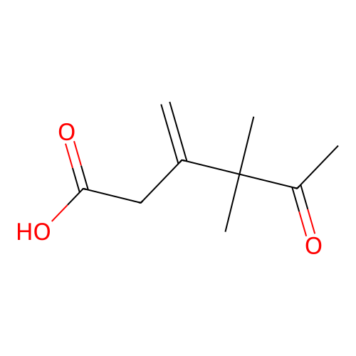 Hexanoic acid, 4,4-dimethyl-3-methylene-5-oxo- structure