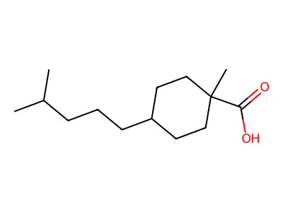 IG 10 structure