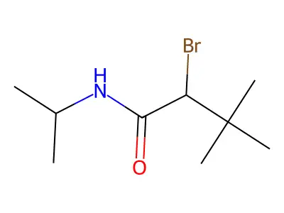 N1-Isopropyl-2-bromo-3,3-dimethylbutanamide structure