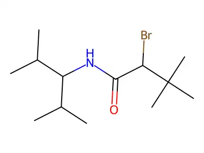 N1-(1-Isopropyl-2-methylpropyl)-2-bromo-3,3-dimethylbutanamide structure