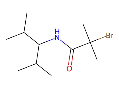 N1-(1-Isopropyl-2-methylpropyl)-2-bromo-2-methylpropanamide structure