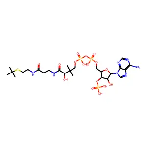 Butyl coenzyme A structure