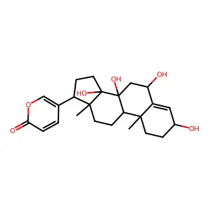 Desacetylscillirosidin structure