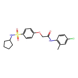 N-(4-chloro-2-methylphenyl)-2-[4-(cyclopentylsulfamoyl)phenoxy]acetamide structure