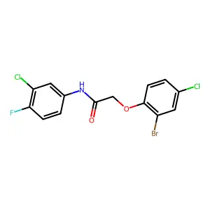 2-(2-bromo-4-chlorophenoxy)-N-(3-chloro-4-fluorophenyl)acetamide structure