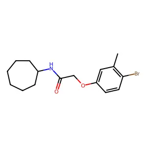 2-(4-bromo-3-methylphenoxy)-N-cycloheptylacetamide structure