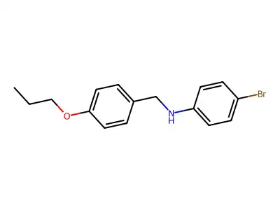 N-(4-bromophenyl)-N-(4-propoxybenzyl)amine structure
