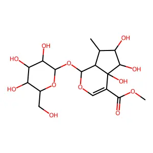 Pulchelloside II structure