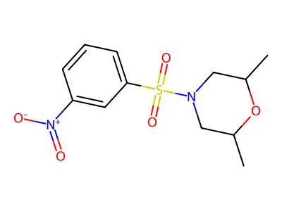 2,6-Dimethyl-4-[(3-nitrophenyl)sulfonyl]morpholine structure