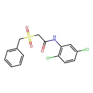 2-benzylsulfonyl-N-(2,5-dichlorophenyl)acetamide structure