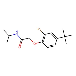 2-(2-bromo-4-tert-butylphenoxy)-N-propan-2-ylacetamide structure