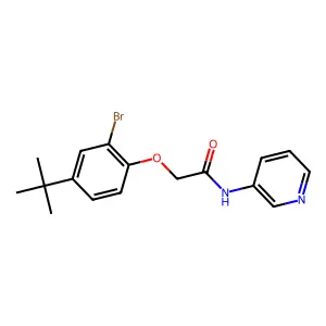 2-(2-bromo-4-tert-butylphenoxy)-N-pyridin-3-ylacetamide structure