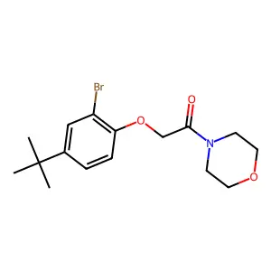 2-(2-Bromo-4-tert-butylphenoxy)-1-morpholin-4-ylethanone structure